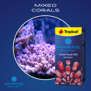 Tropical Marine Power Coral Food SPS Powder 70g